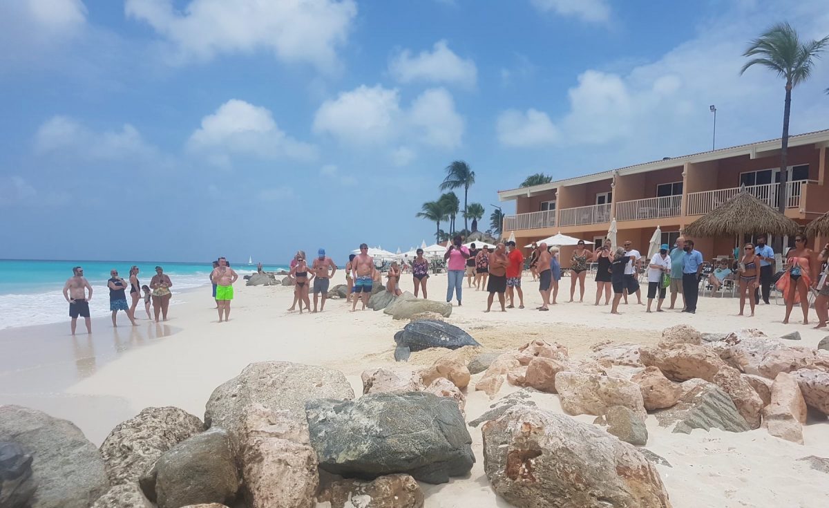 Leatherback Sea Turtle Nesting Event Spotted on Aruba’s Shore