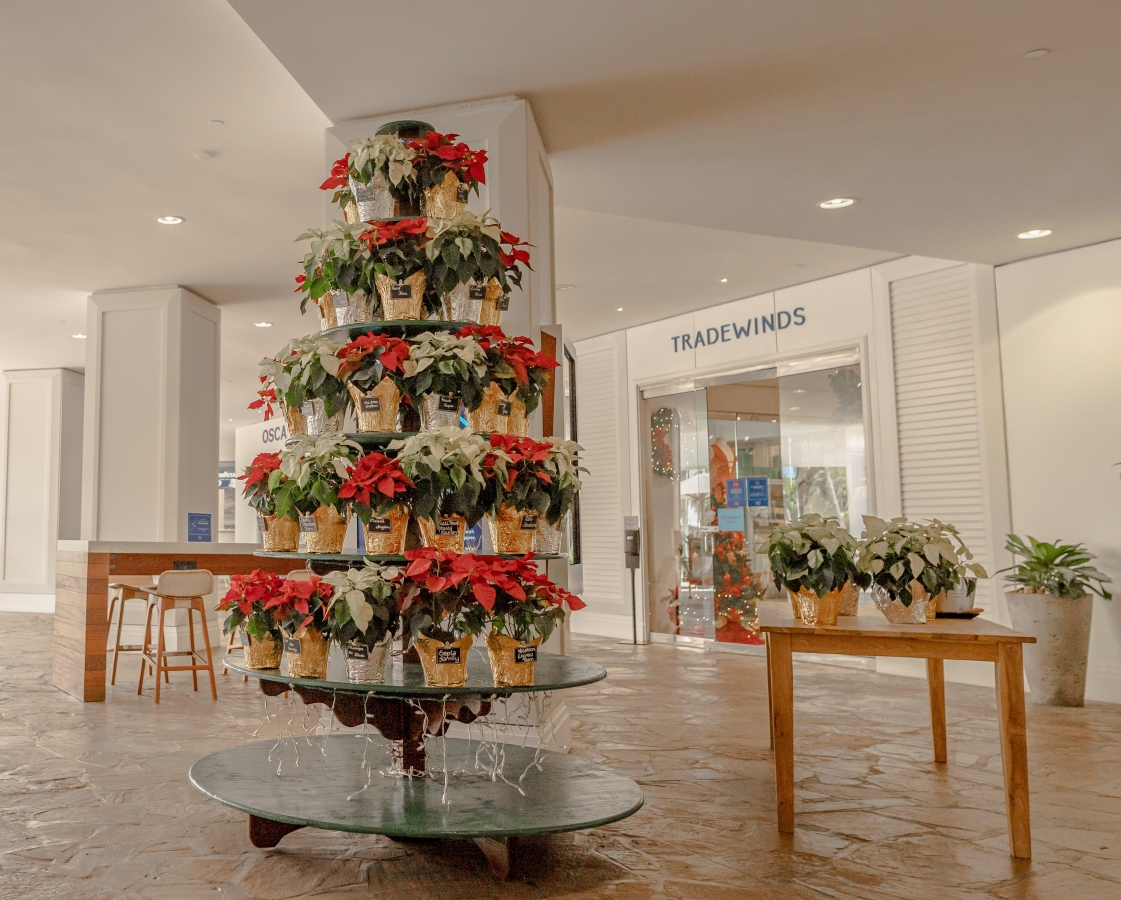 Spreading Cheer at the Hilton Aruba Caribbean Resort & Casino