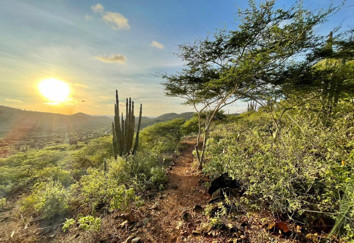 Aruba’s National Park Among USA Today 10Best Caribbean Attractions for 2023