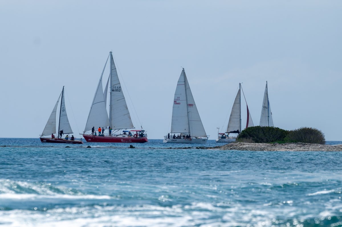 The 14th International Regatta, schedules for June 28th, 2024