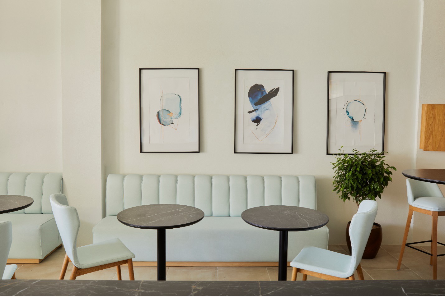 Don Esteban Gourmet Debuts Its First Boutique Location at Radisson Blu Aruba