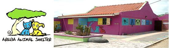 Aruba-Animal-Shelter-Contact-Location-Foundation-info-visitaruba-550.jpg