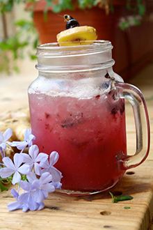 Blueberry Ginger Fizz