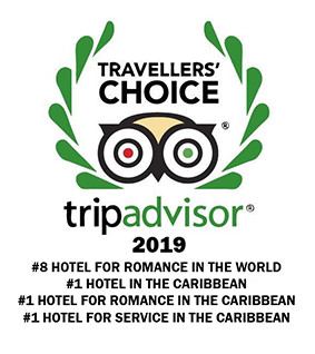 Travellers Choice Award TripAdvisor 2019.jpg