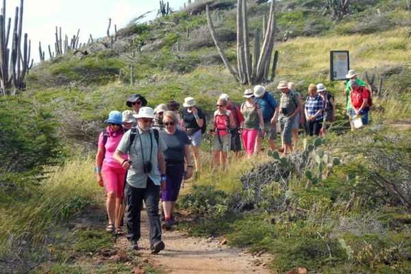 Showing love to Planet Earth image