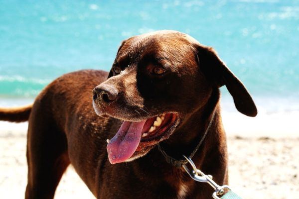 Community Service & Volunteering image