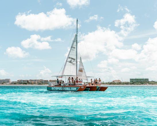 Octopus Aruba