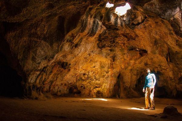 Tours & Activities image