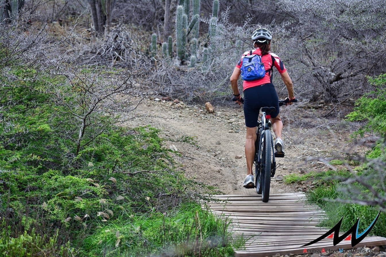 Biking & Cycling image