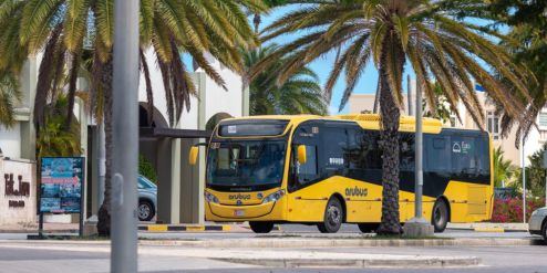 Public Transportation image